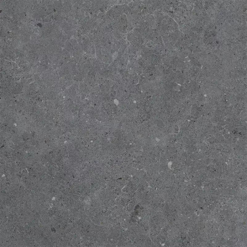 Siena Dark Grey Wall & Floor Tile 60x60cm close-up showing a dark charcoal grey terrazzo-effect surface with fine, subtle speckles.