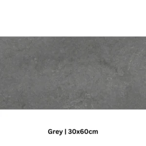 Texas Wall & Floor Tile 300x600mm
