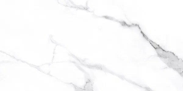 Carrara White Gloss and Decor Tile 30x60cm