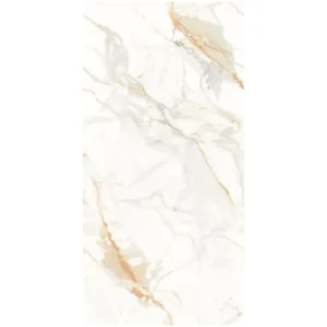 Genesis Staturio Large Rectangle Tile 60x120cm - 203509 product